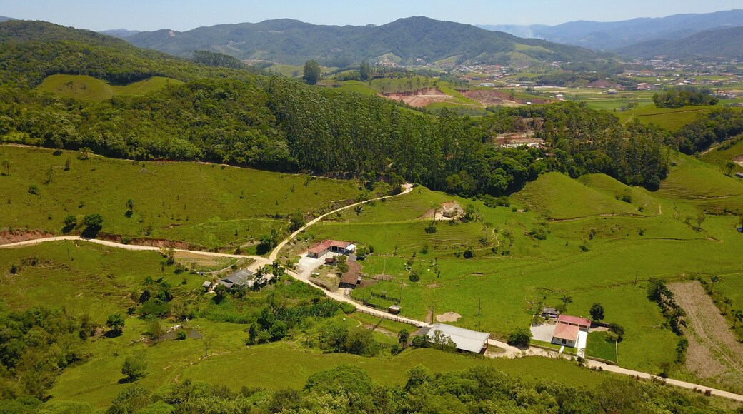 อังตอนีอู การ์ลูส