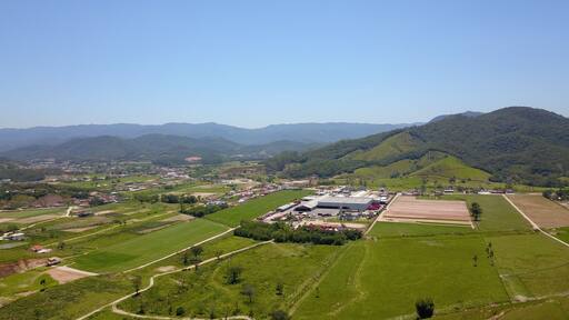 أنطونيو كارلوس