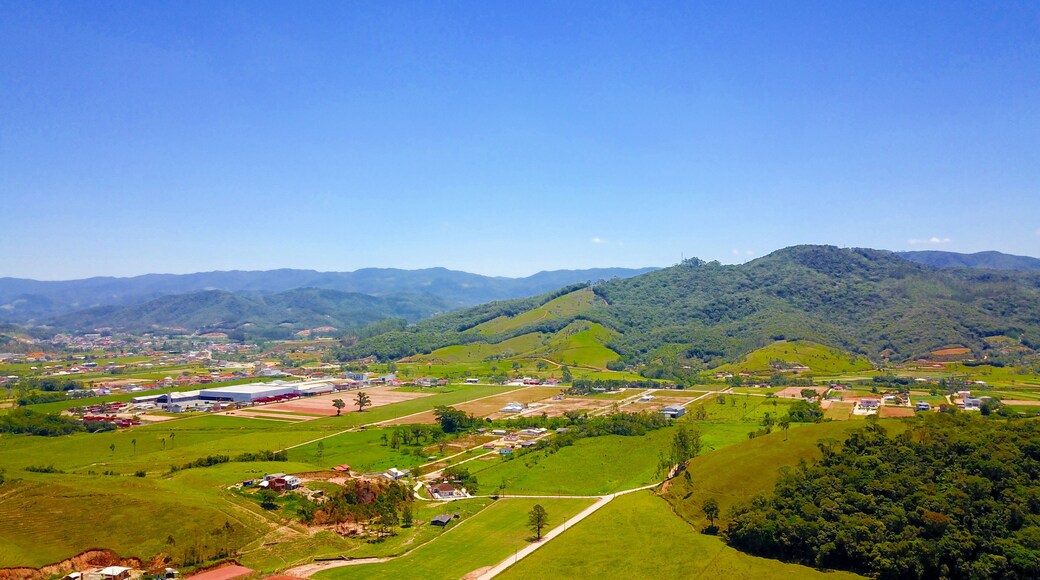 อังตอนีอู การ์ลูส