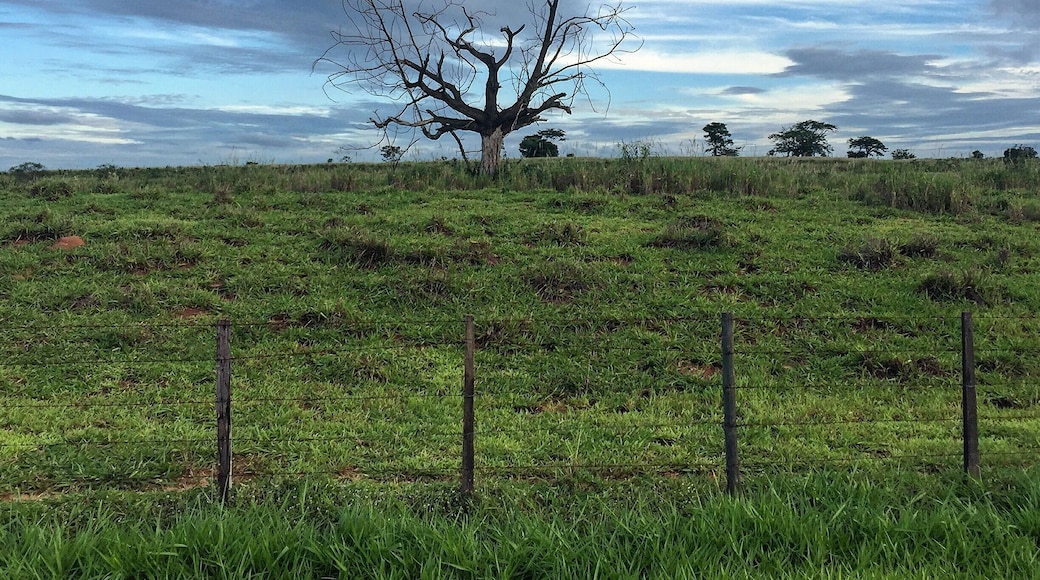 Countryside SĂŁo Paulo state
