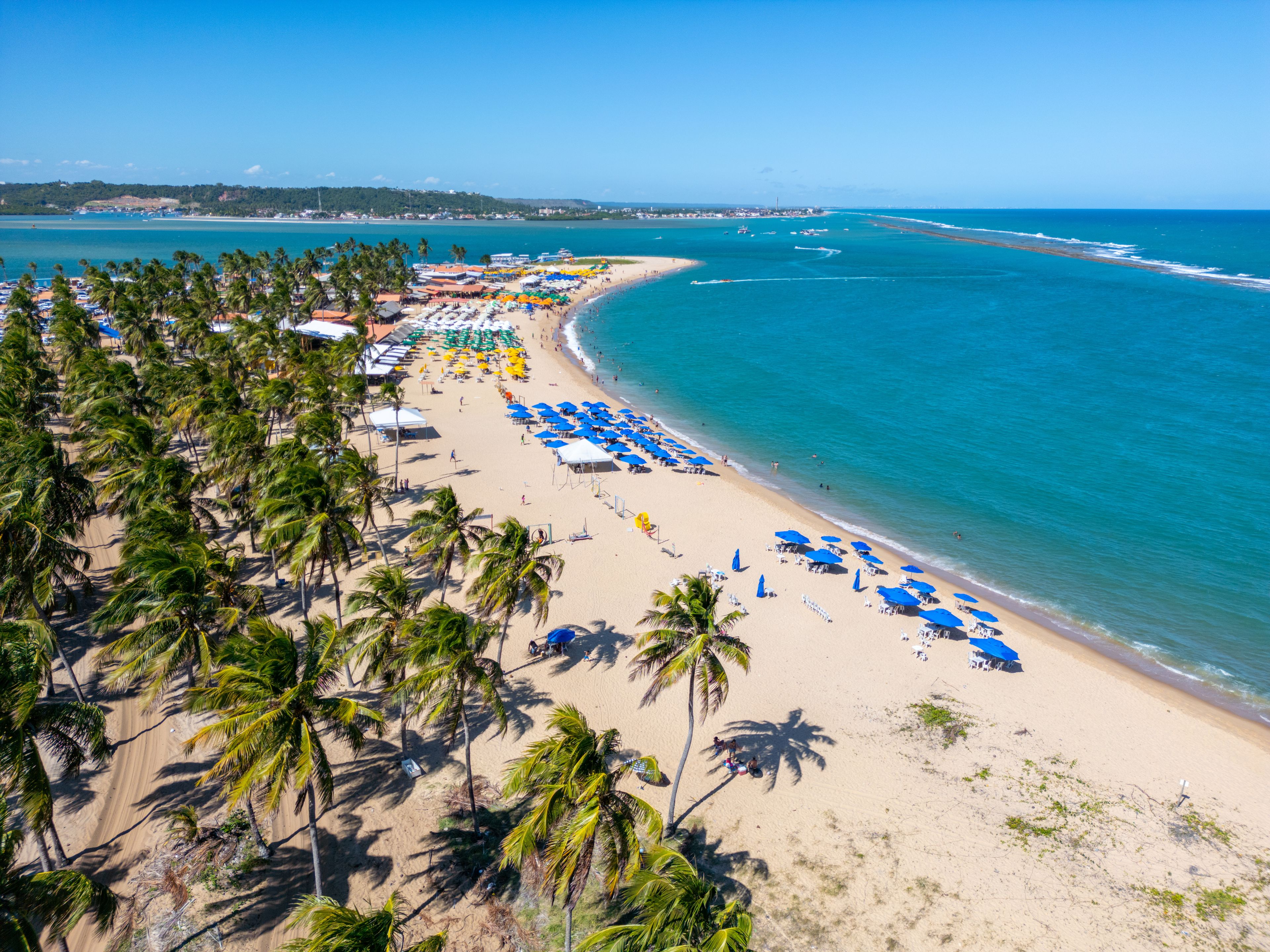 Une plage bordée de palmiers, avec des parasols bleus et une mer d’un bleu limpide.
