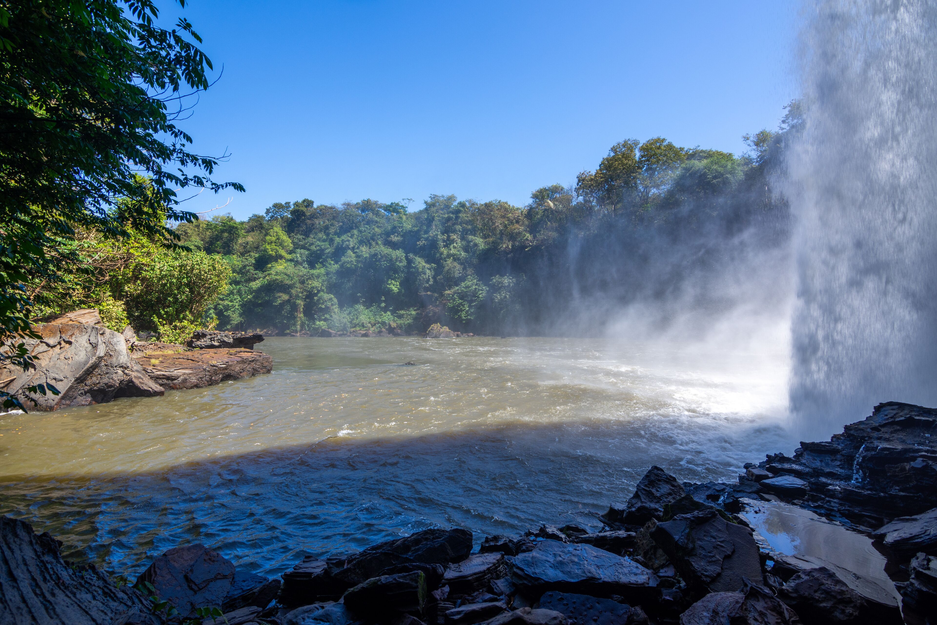 A waterfall cascading into a river surrounded by dense forest.