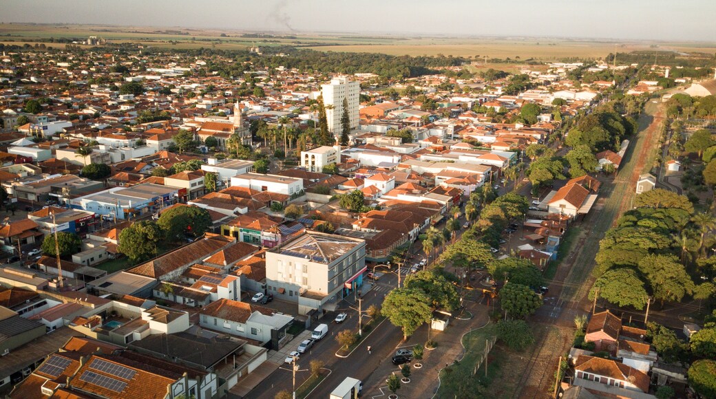 Bernardino de Campos