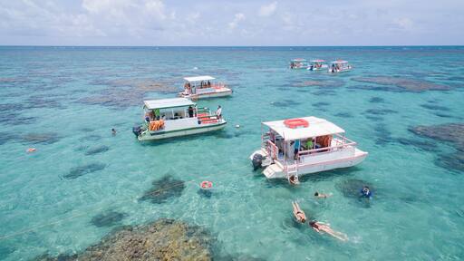 إيلا غرانجى