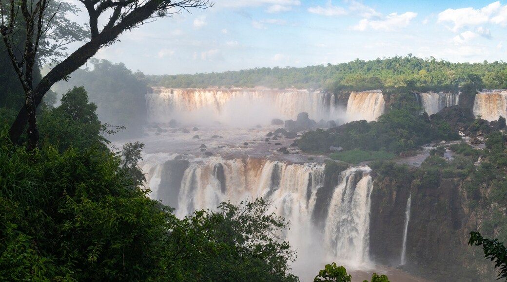Beautiful view to Iguaçu Falls waterfalls and green rainforest