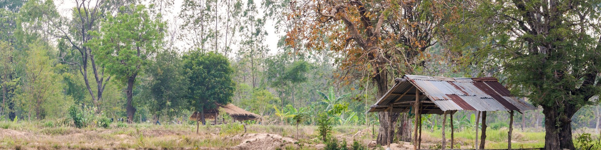 Un paisaje rural con una pequeña construcción de madera, campos verdes exuberantes y árboles al fondo.