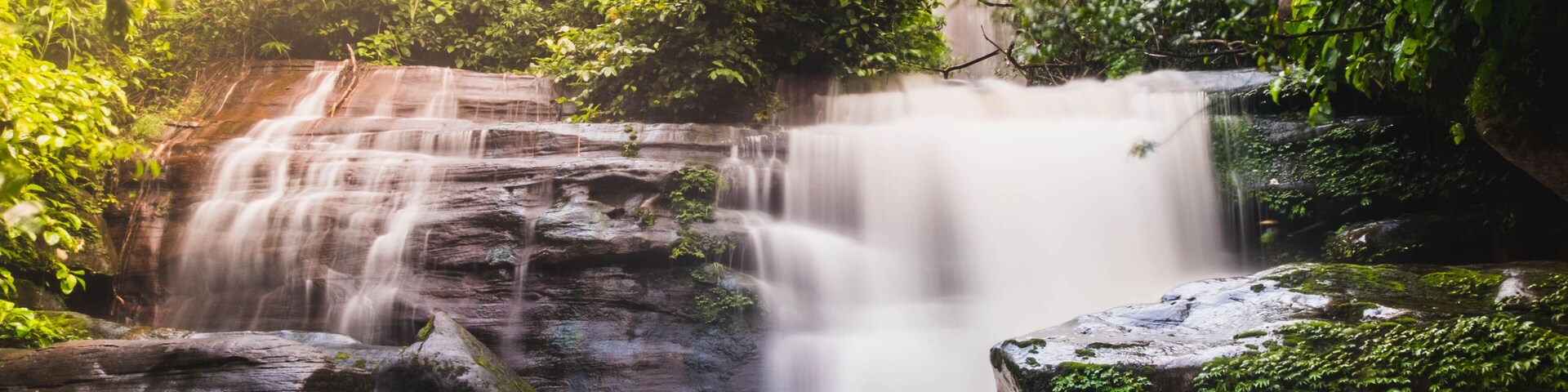 Una cascada que se precipita sobre rocas rodeadas de exuberante vegetación.