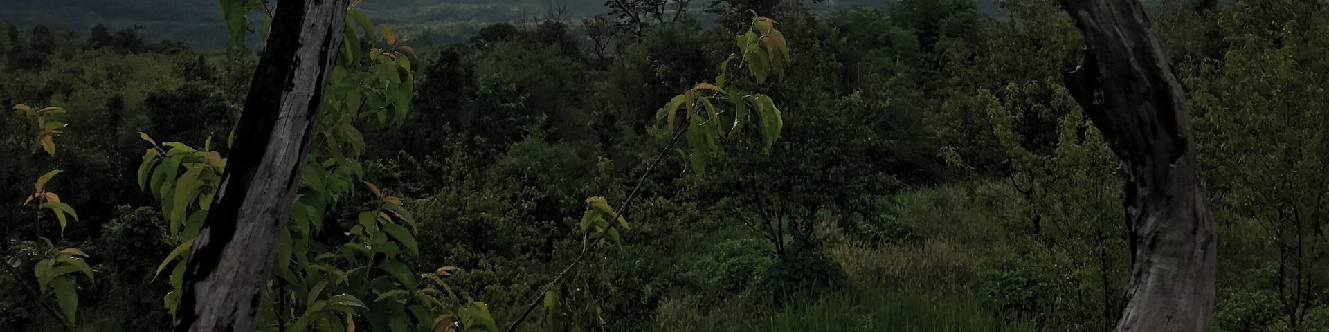 Phu Pa Poh "Fuji Muang Loei" Located at Ban Pha Wai, Puan Phu Sub-district, Nong Hin District, Loei Province, Thailand. Viewpoint high 900 meters above sea level. Can see the "Phu Hor" Looks like a mountain top cut, resemble mount Fujiyama in Japan.
#Trovember #PhuPaPoh #FujiMuangLoei #PhuHor #Loei #Thailand