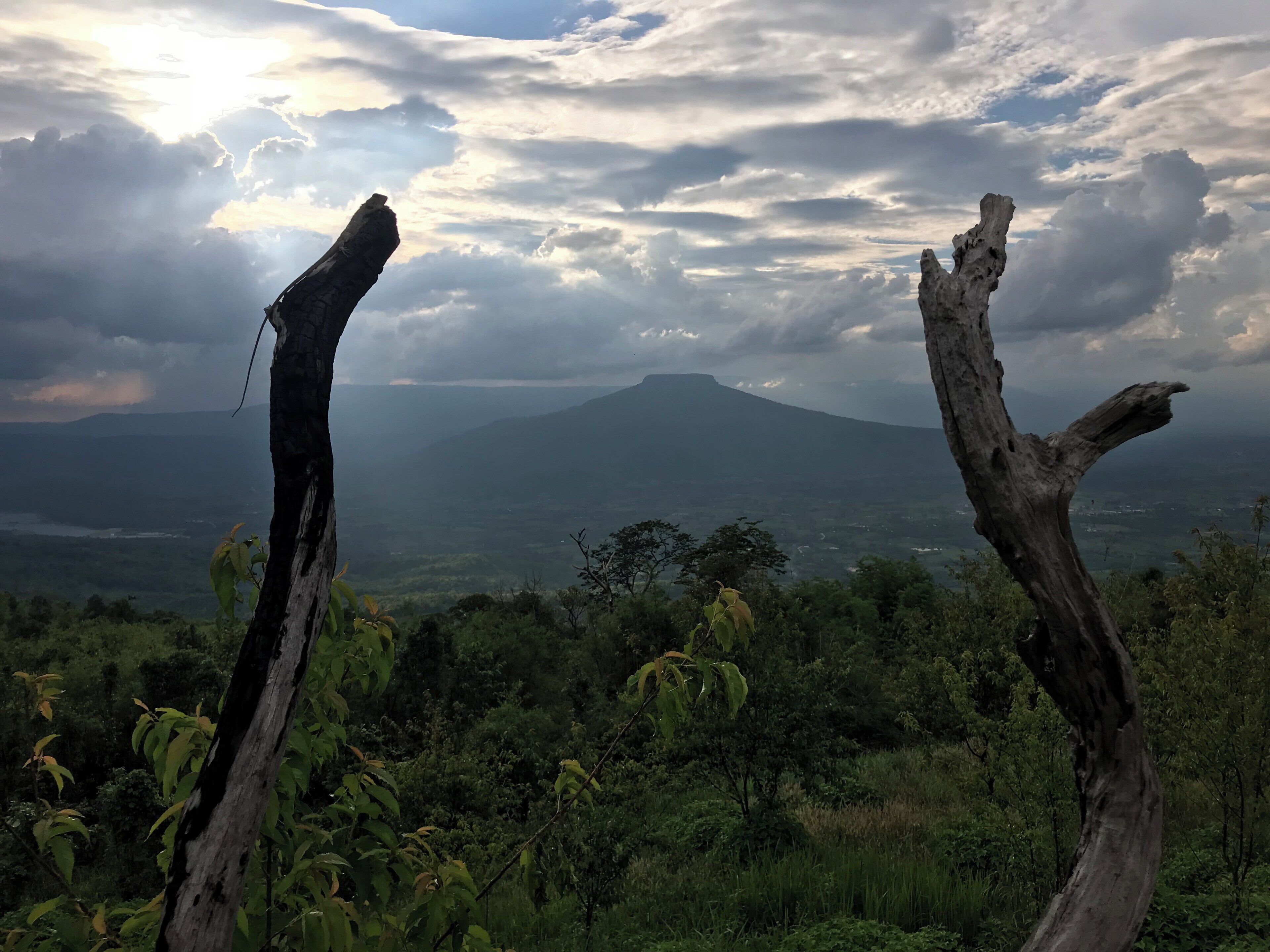 A mountain landscape with two prominent dead tree trunks in the foreground and a cloudy sky above.