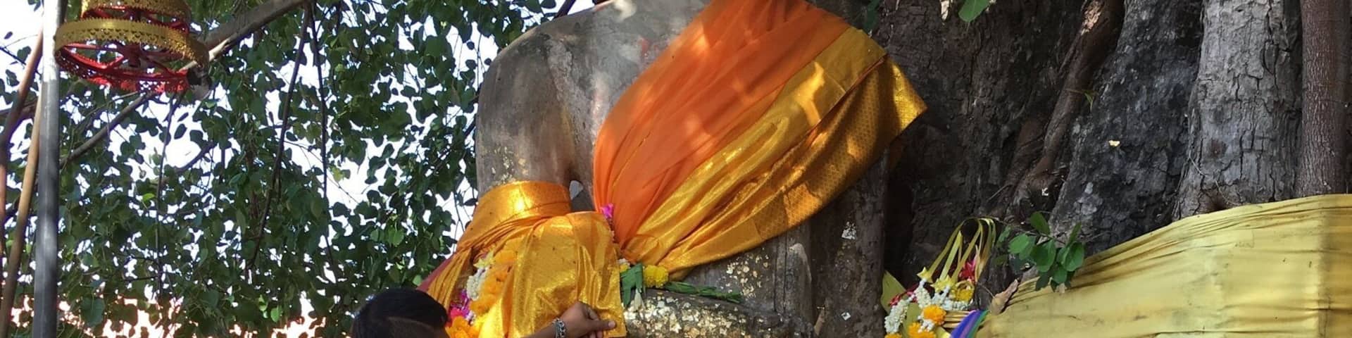 Phra in the Bodhi tree.