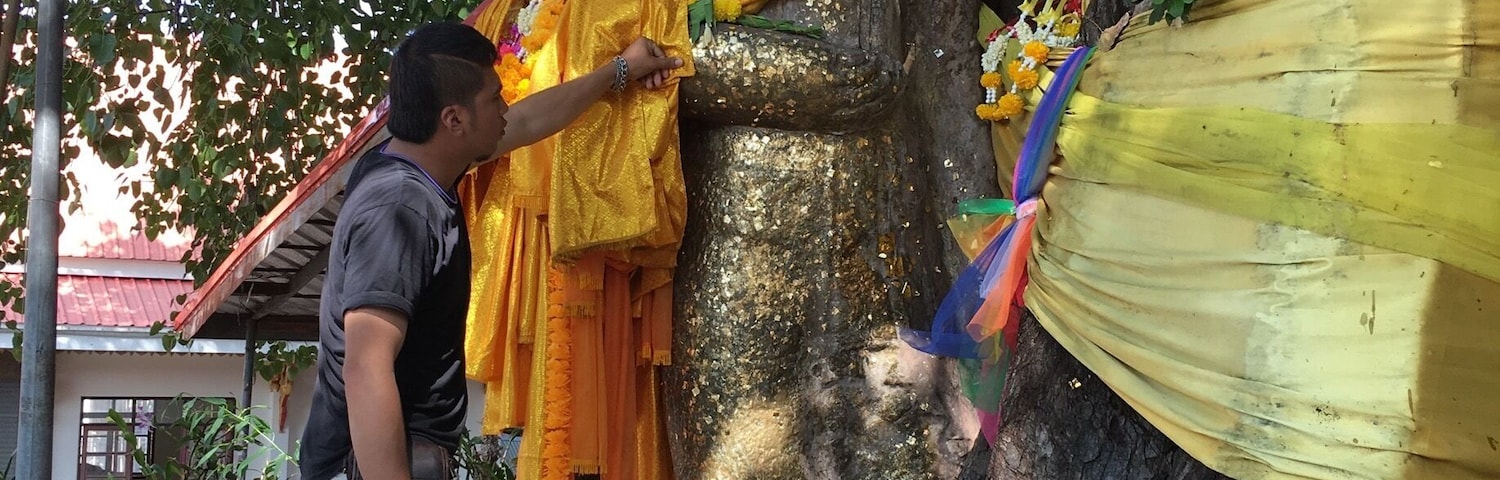 Phra in the Bodhi tree.