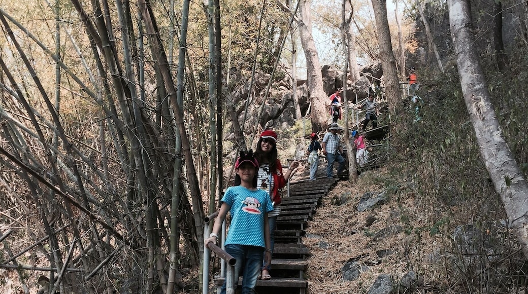 วัดป่าภูผาแดง