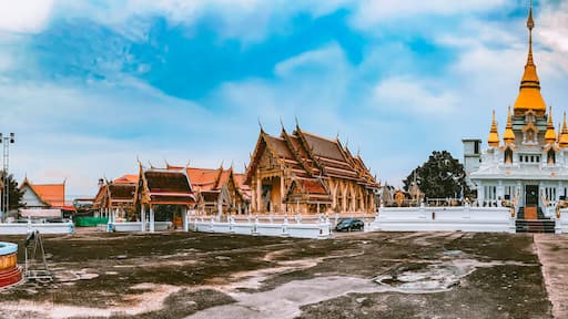 วังม่วง