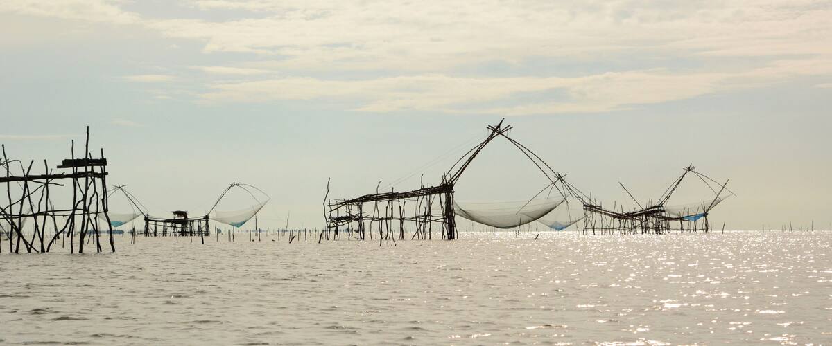 A coastal fishing area with multiple fishing nets and structures.
