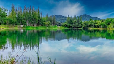 Beautiful view of green pine forest and lake with trees and cloudy blue sky reflection, landscape of old mine Liwong in Chana, Songkhla, Thailand