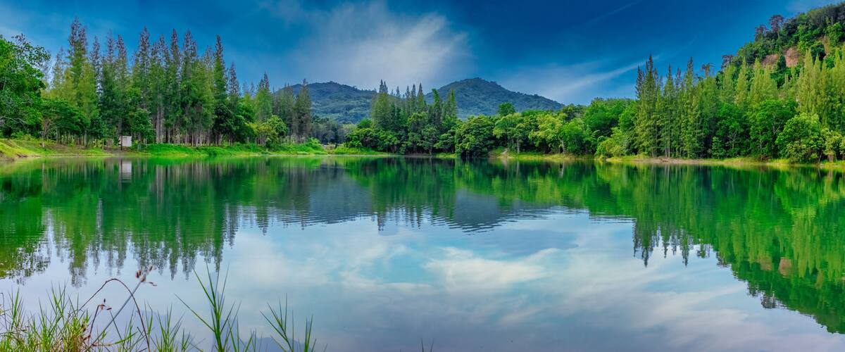 A calm lake surrounded by lush greenery and a mountain in the background.