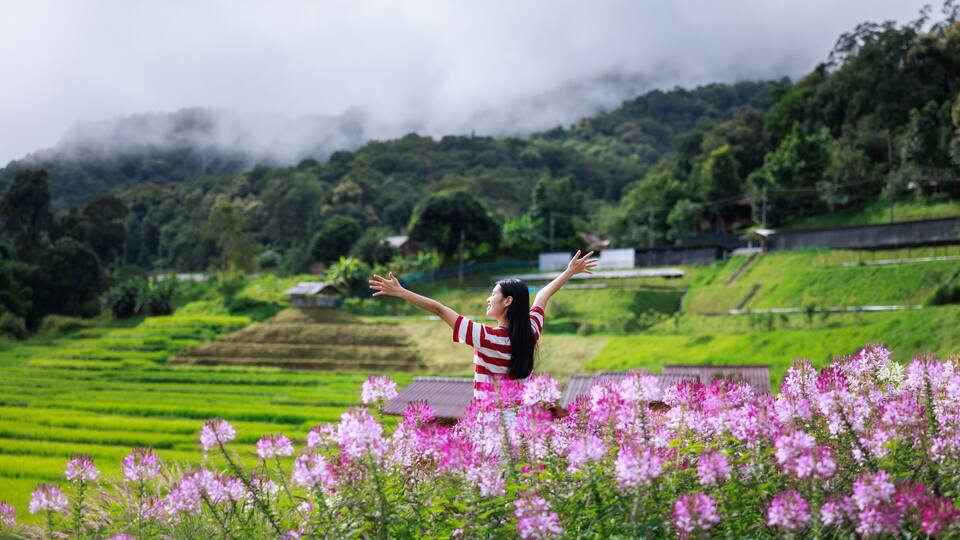 asian girl standing holding hand and happy smiling in flower garden at morning mist Mae Klang Luang Rice terraces, Chiang Mai Thailand,