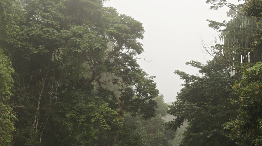 The beauty of nature and the Wading Dam Rapids at Ban Bok Fai, Phato District Chumphon, Thailand