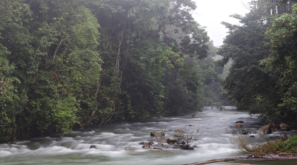 The beauty of nature and the Wading Dam Rapids at Ban Bok Fai, Phato District Chumphon, Thailand