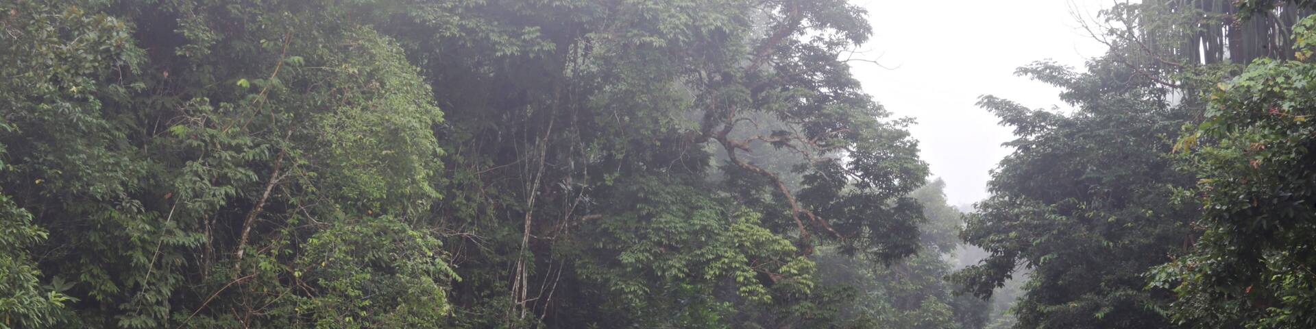 The beauty of nature and the Wading Dam Rapids at Ban Bok Fai, Phato District Chumphon, Thailand