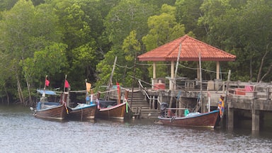 fishing boat and concrete habour in palian, of trang thailand