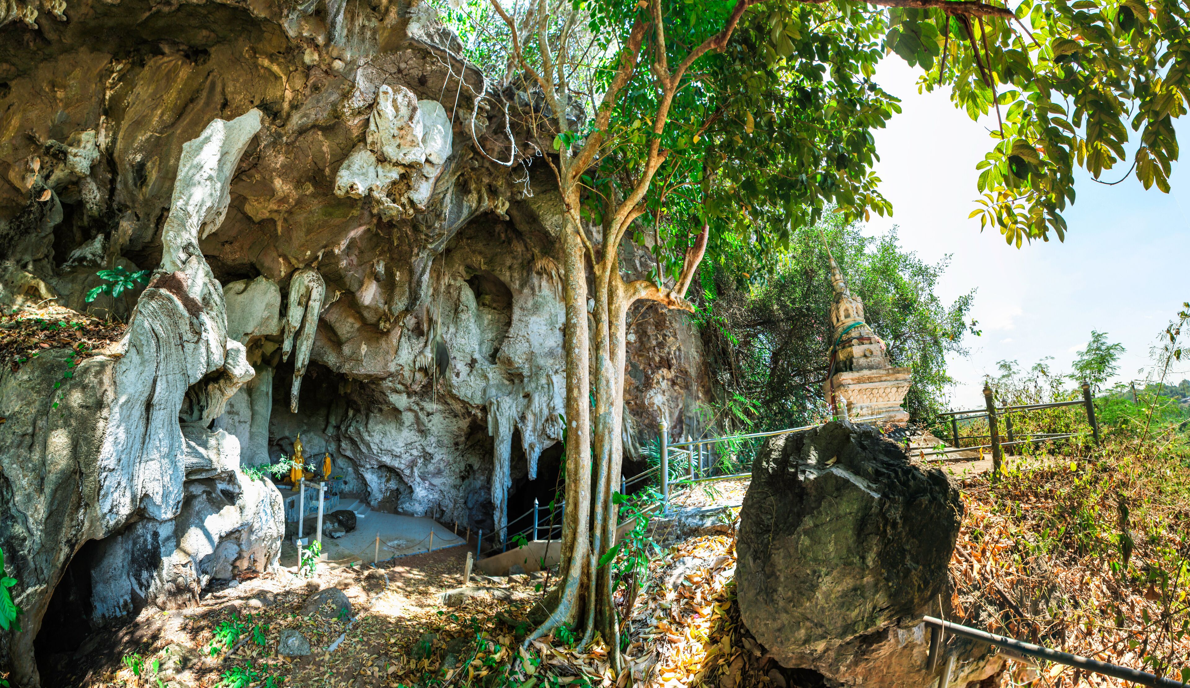 A cave with stalactites and stalagmites, a tree, and a small shrine.