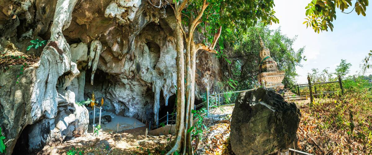 A cave with stalactites and stalagmites, a tree, and a small shrine.