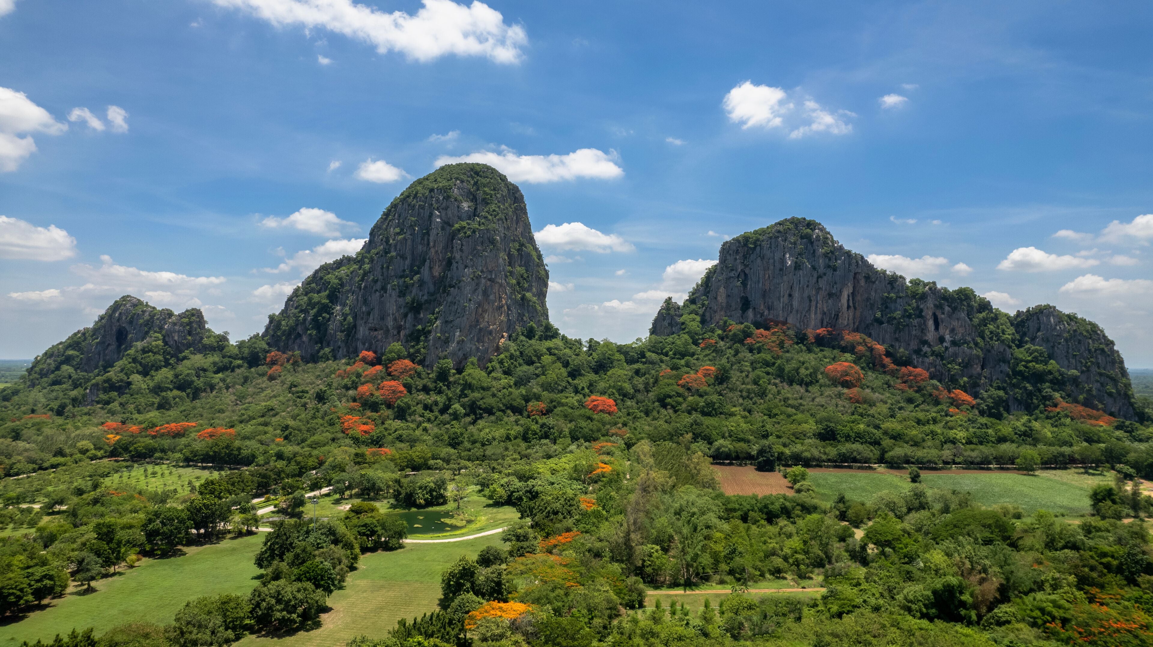 Aerial view of Khao Chakan You can see green trees, orange flowers, and a beautiful sky. Sa Kaeo Province, Thailand