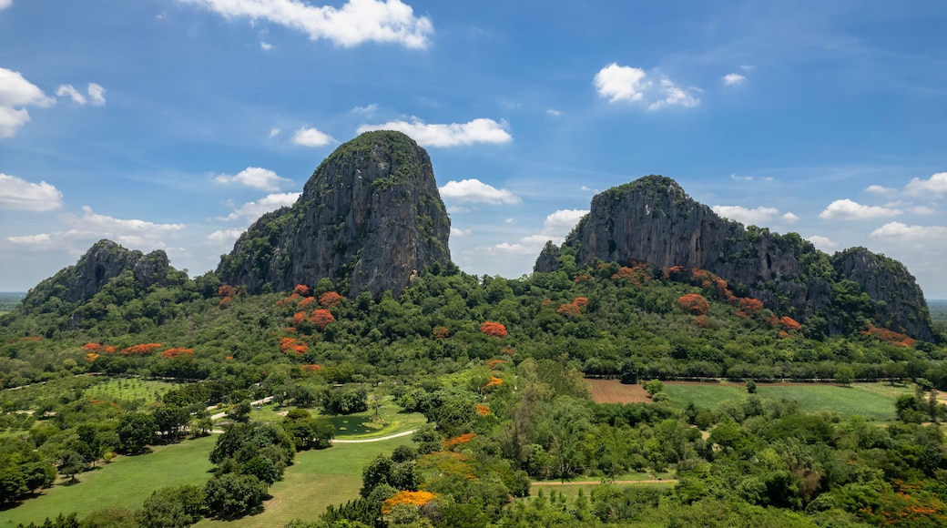 Aerial view of Khao Chakan You can see green trees, orange flowers, and a beautiful sky. Sa Kaeo Province, Thailand