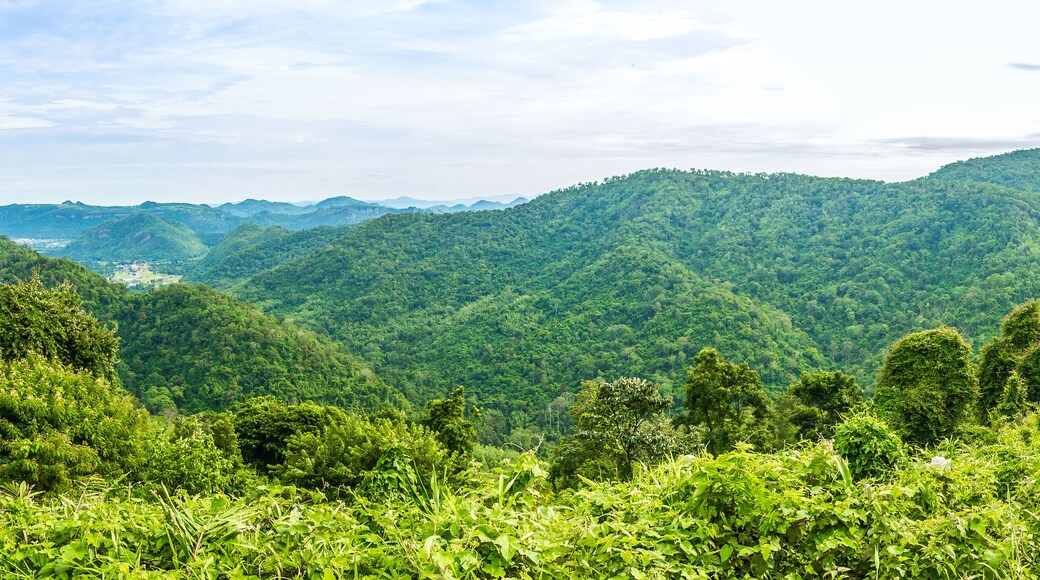View of mountain with fog, Khao Yai National Park, Thailand