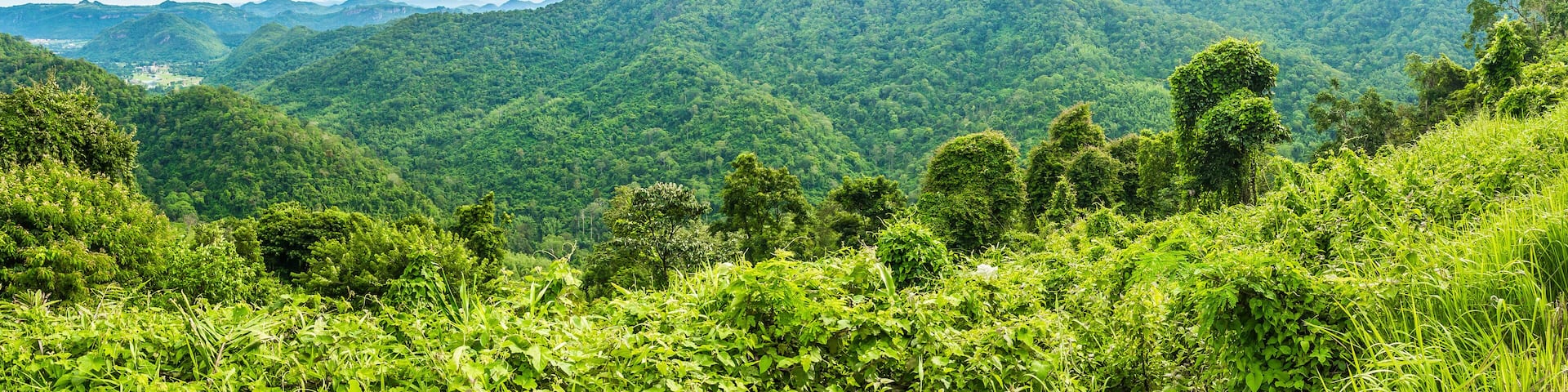View of mountain with fog, Khao Yai National Park, Thailand