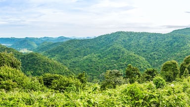 View of mountain with fog, Khao Yai National Park, Thailand