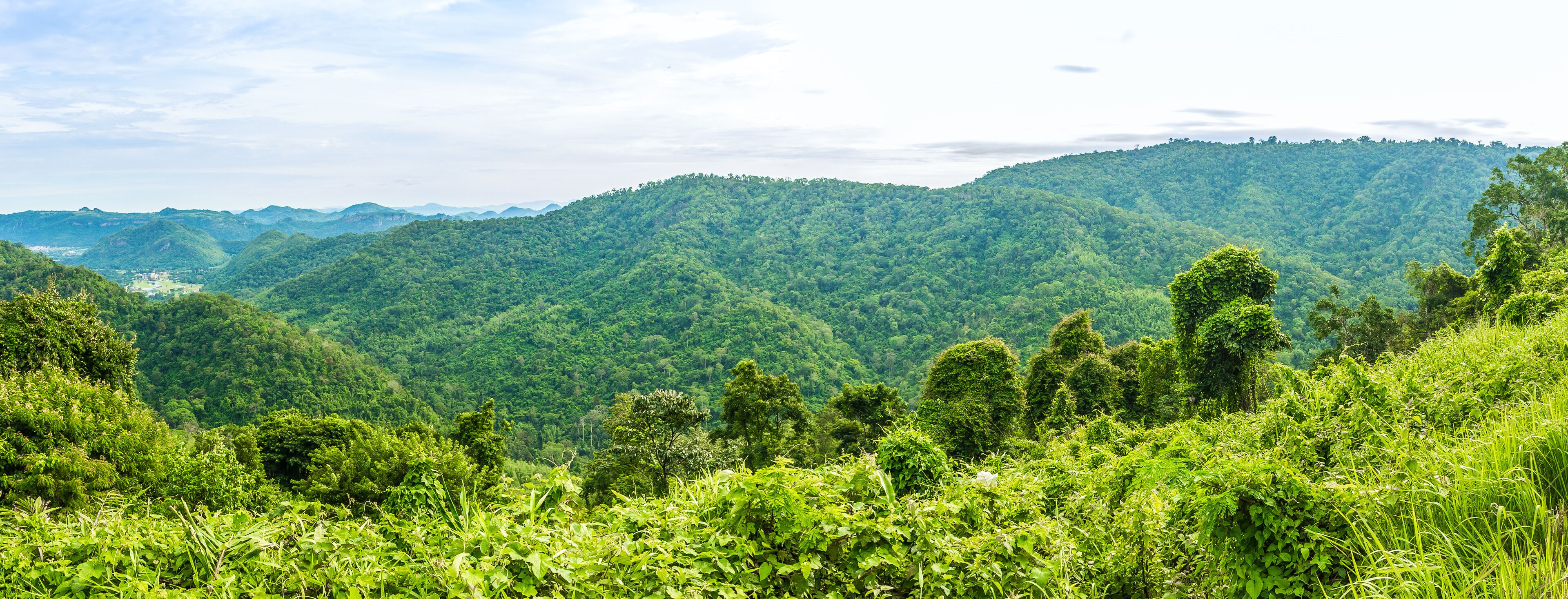 Lush green hills and a valley with dense vegetation.