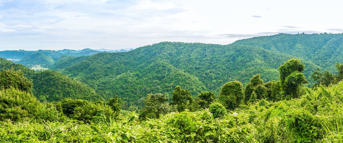Lush green hills and a valley with dense vegetation.