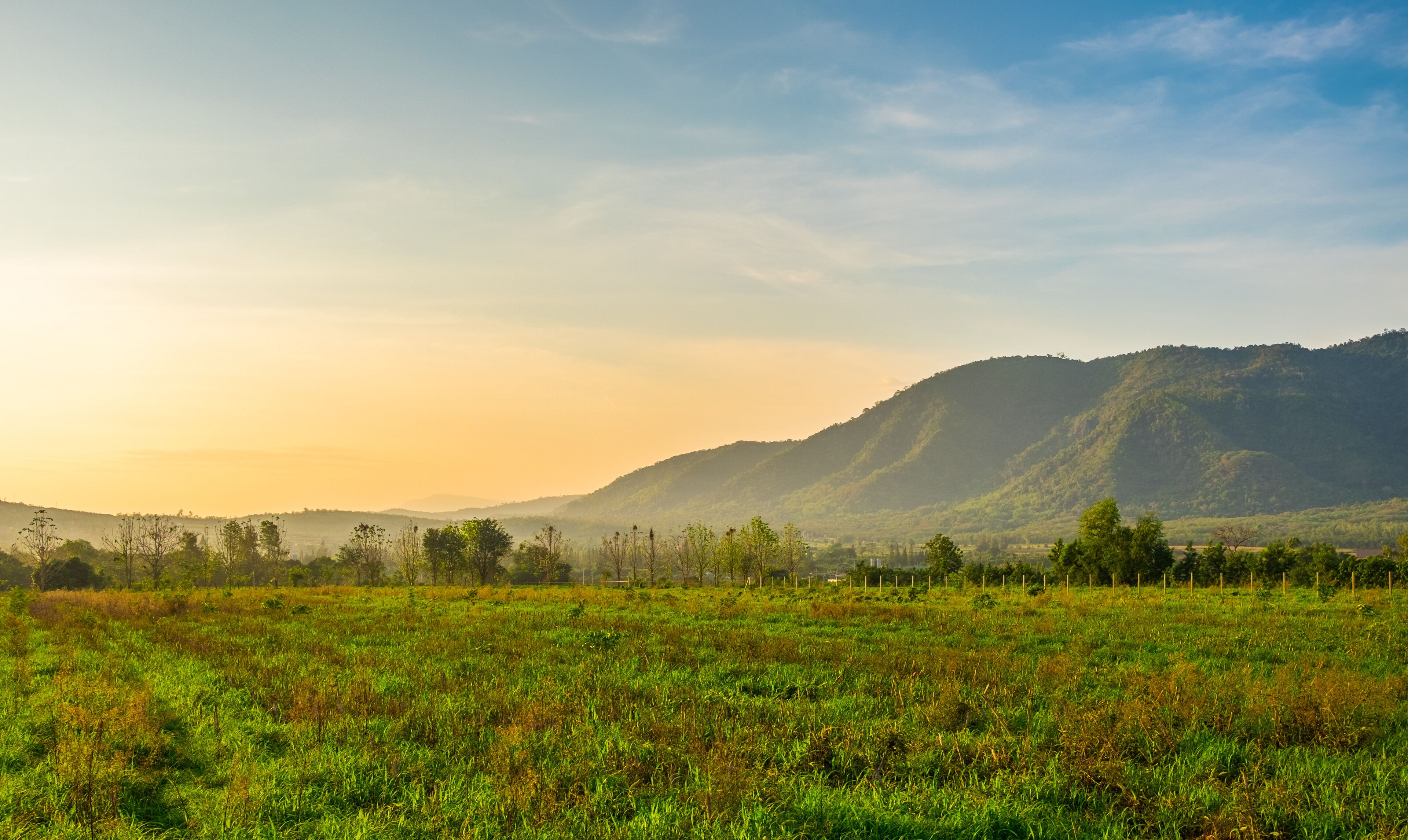 Morning Mountain view in Khao Yai National Park, Thailand