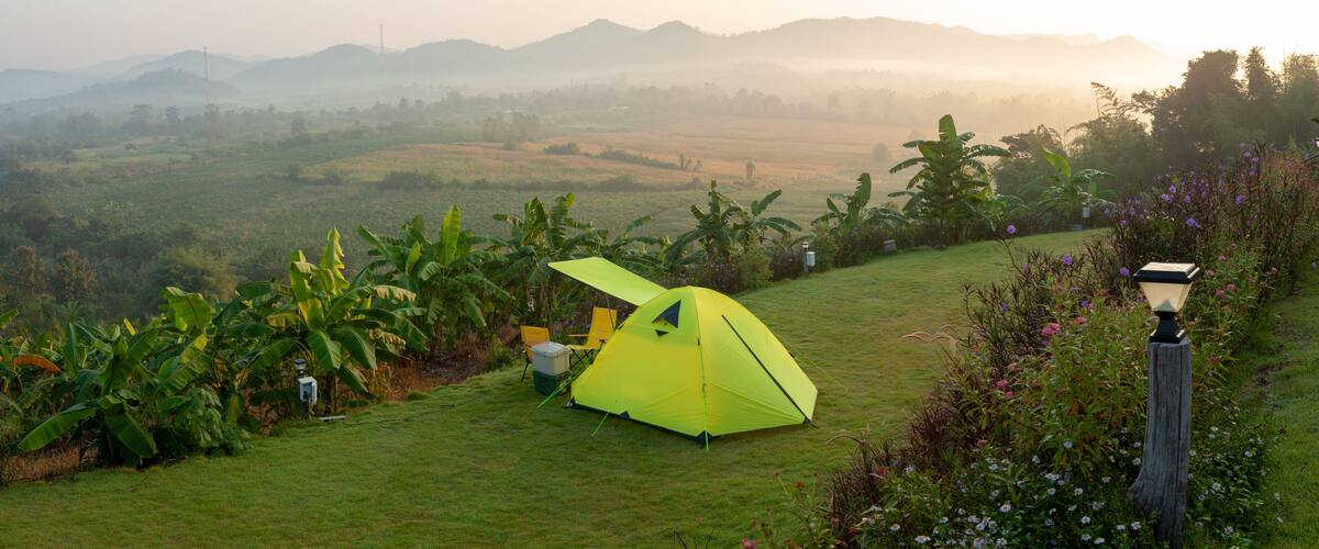 A yellow tent on a grassy hill with banana trees and flowers.