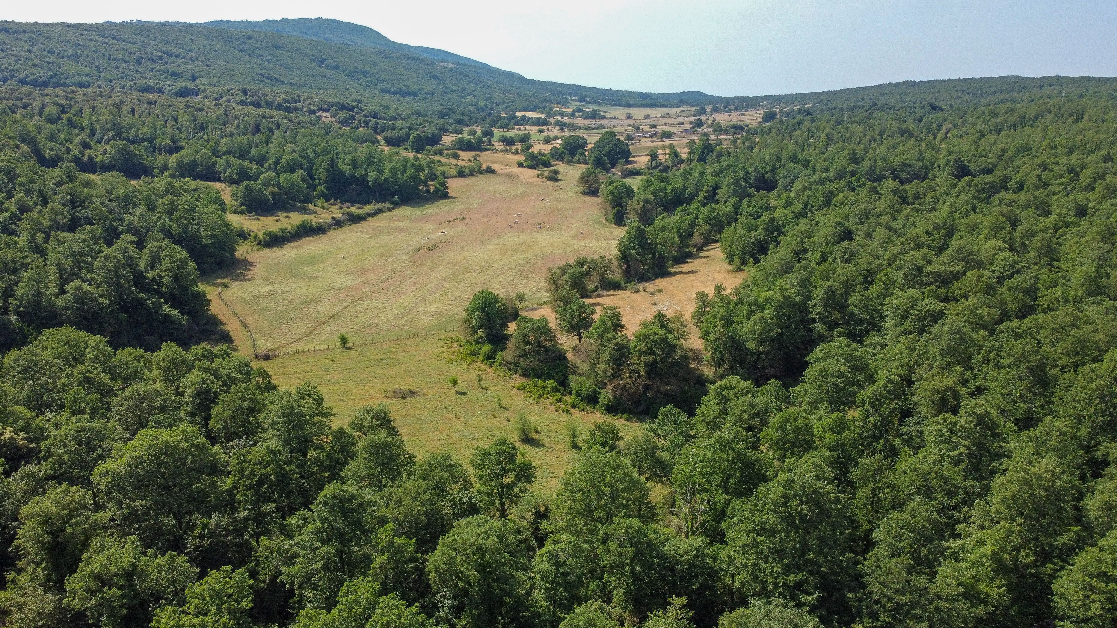 Foresta Umbra naturreservat