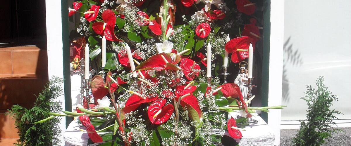 A shrine with red flowers, white candles, and a small statue.