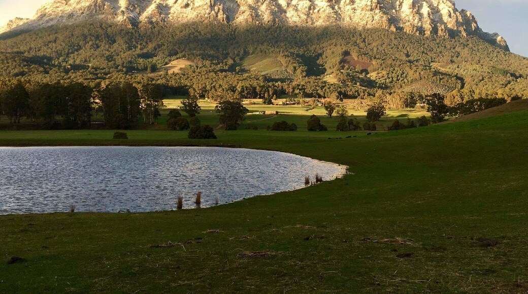 Mount Roland Tasmania