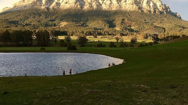 Mount Roland Tasmania