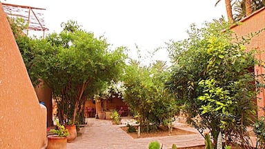 We stayed here for 1 night, about 20 km outside of Guelmim. A lot of charm. The garden is just incredible - so beautiful!