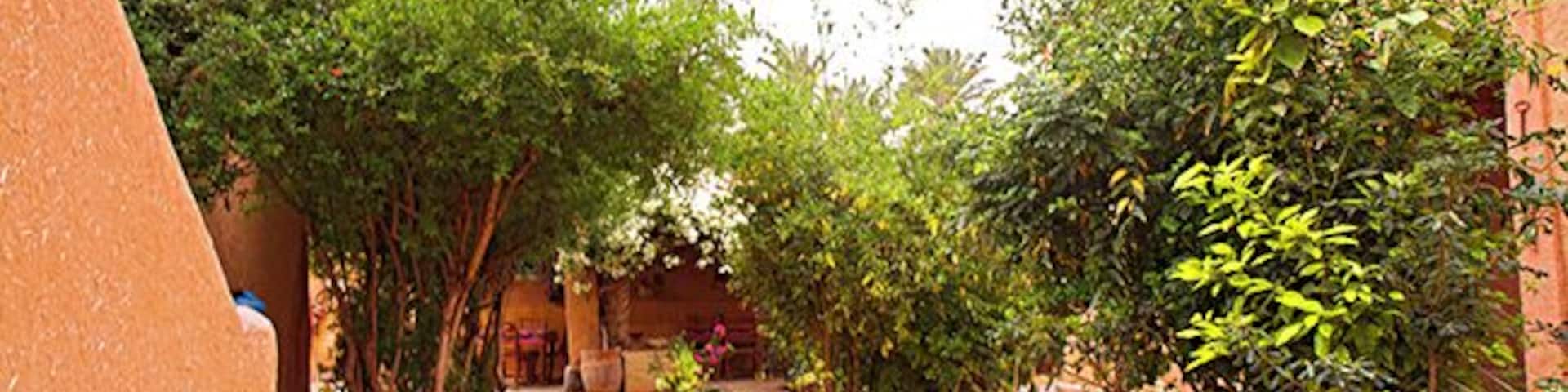 We stayed here for 1 night, about 20 km outside of Guelmim. A lot of charm. The garden is just incredible - so beautiful!