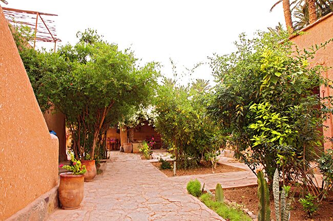A narrow stone pathway flanked by potted plants and trees in a courtyard.