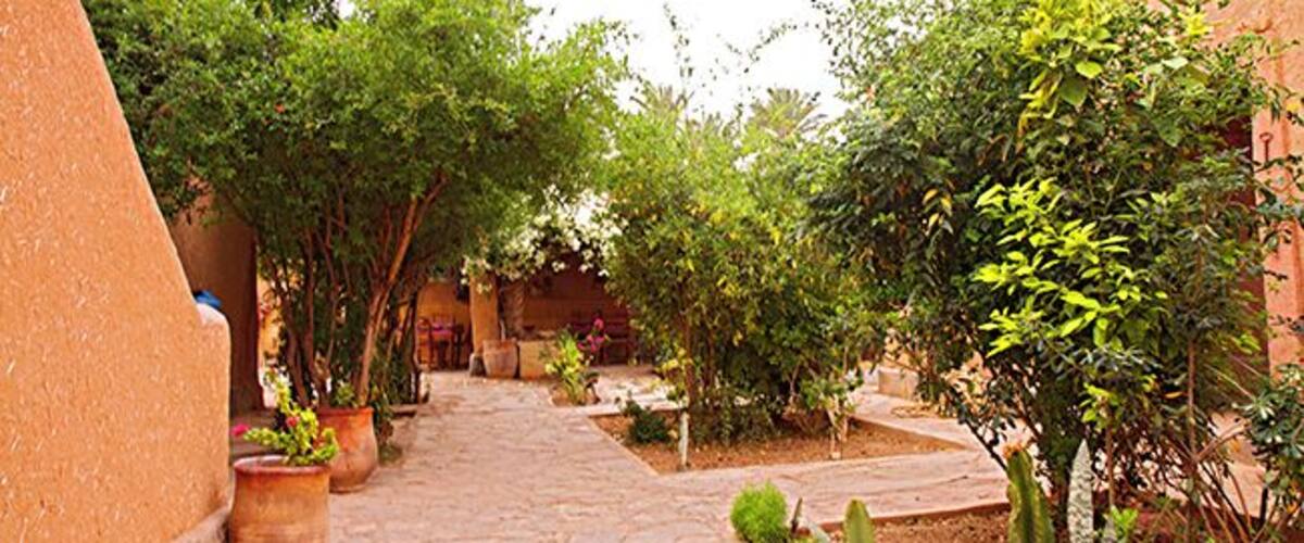 A narrow stone pathway flanked by potted plants and trees in a courtyard.