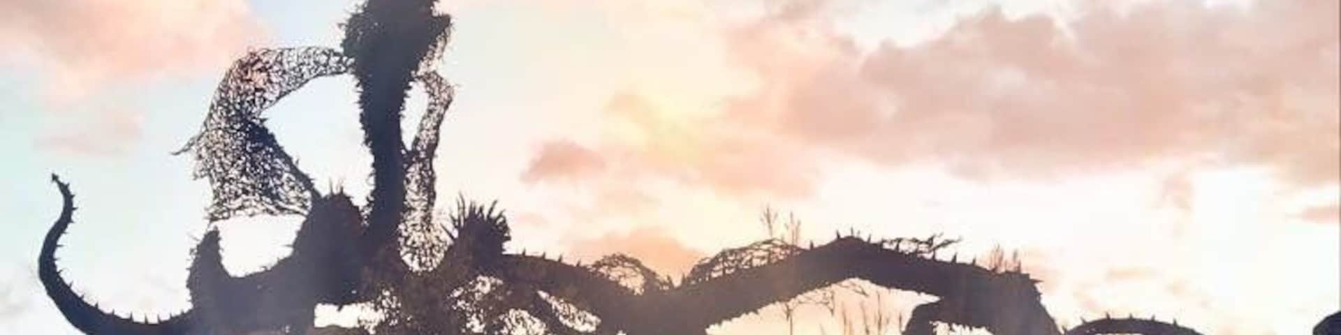 The Dragon in Laverton