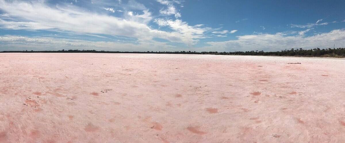 A vast pink salt flat under a clear blue sky.