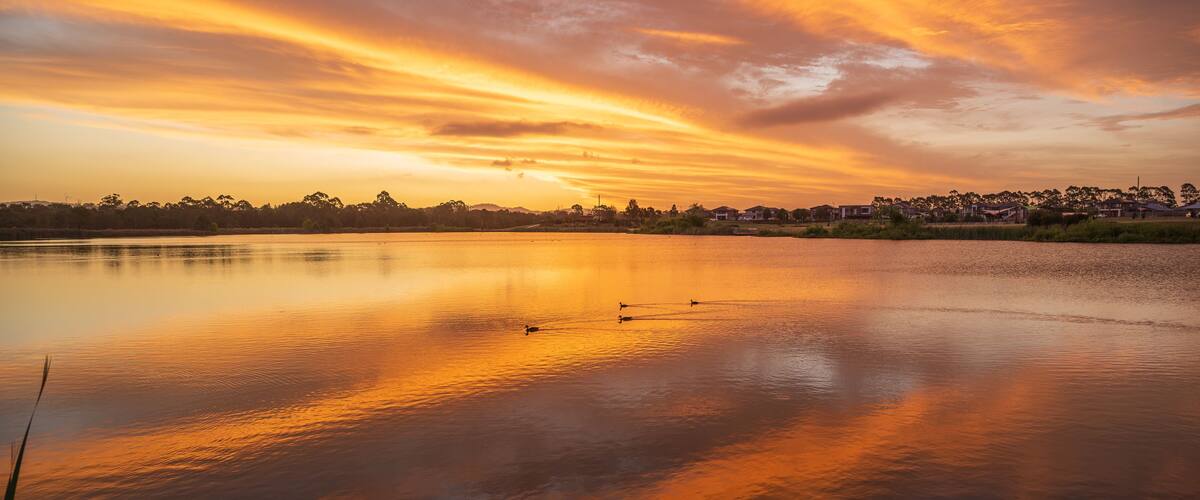 Spring Farm is a suburb of the Macarthur Region of Sydney in the state of New South Wales, Australia in Camden Council
