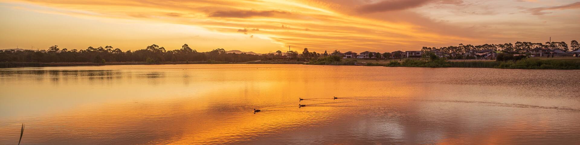 A sunset over a calm lake with a reflection of the sky, surrounded by a residential area.
