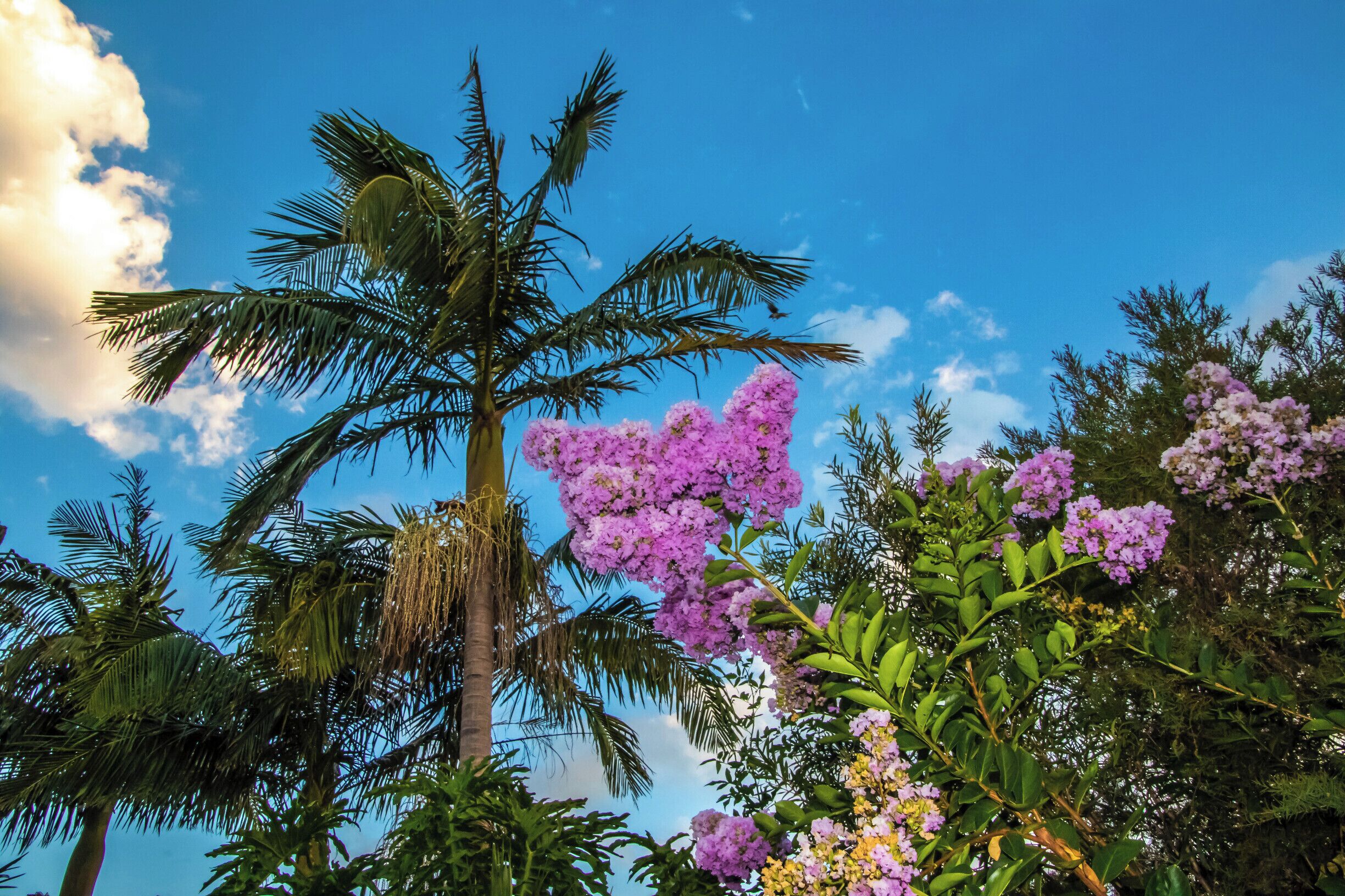 Out the back on a great day. 