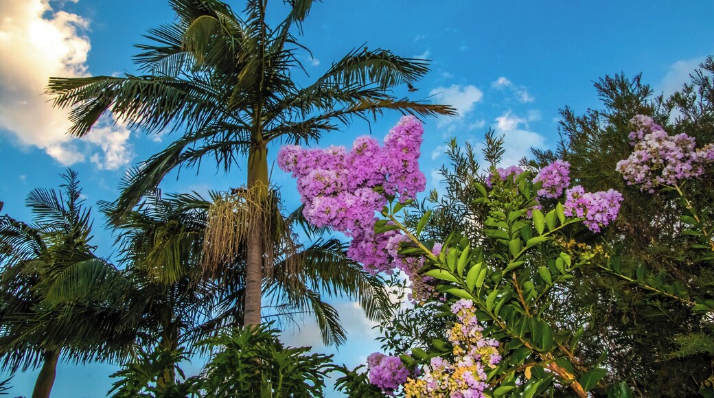 Out the back on a great day.